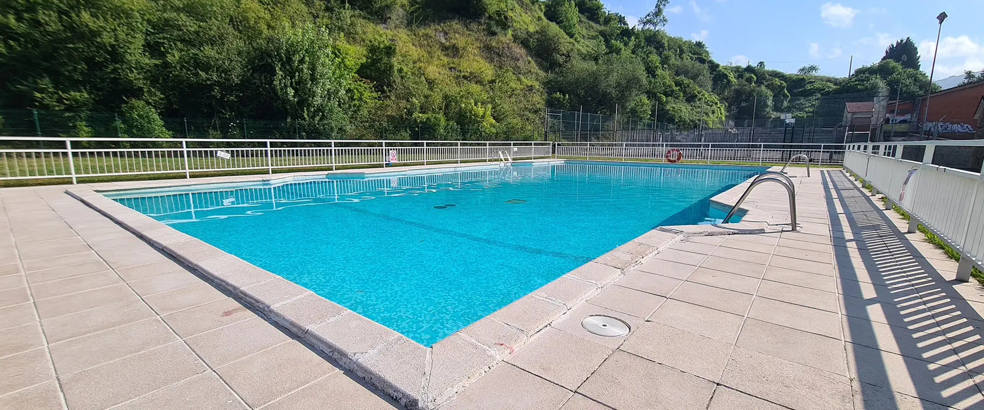 vista de la piscina desde una esquina, al fondo, bosque