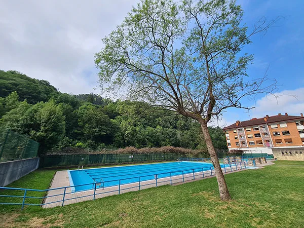vista de la piscina principal desde la zona de playa con un árbol en primer plano
